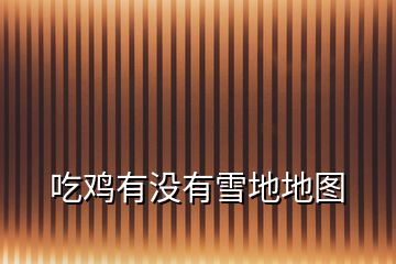吃雞有沒(méi)有雪地地圖