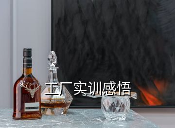 工廠實訓感悟