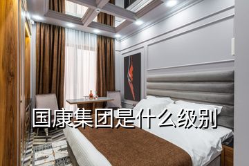 國康集團(tuán)是什么級別