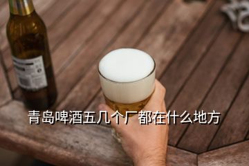 青島啤酒五幾個廠都在什么地方