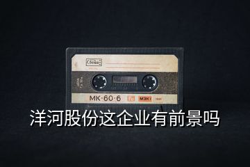 洋河股份這企業(yè)有前景嗎