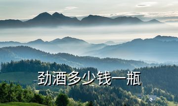 勁酒多少錢一瓶