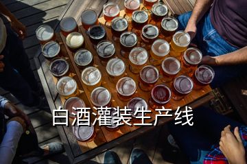 白酒灌裝生產線