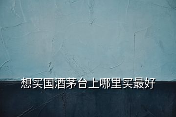 想買國酒茅臺(tái)上哪里買最好