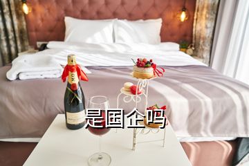 是國(guó)企嗎