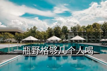 一瓶野格夠幾個人喝