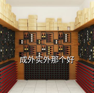 成外實外那個好