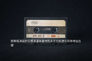 邯鄲臨漳縣的五糧液灌裝基地和永不分梨酒業(yè)具體地址在哪