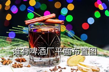 誰(shuí)有啤酒廠平面布置圖