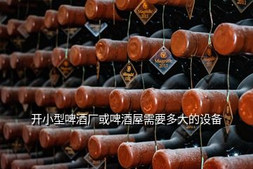 開(kāi)小型啤酒廠或啤酒屋需要多大的設(shè)備