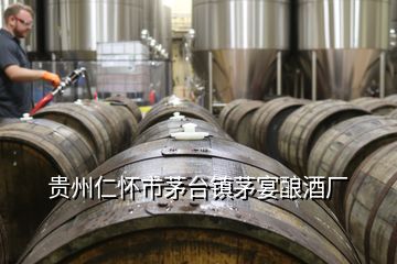 貴州仁懷市茅臺鎮(zhèn)茅宴釀酒廠