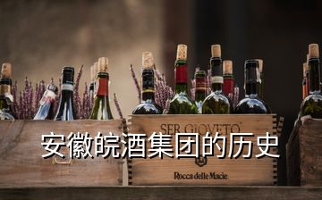 安徽皖酒集團的歷史