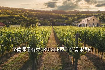 濟南哪里有賣CRUISER藍甘桔調(diào)味酒的