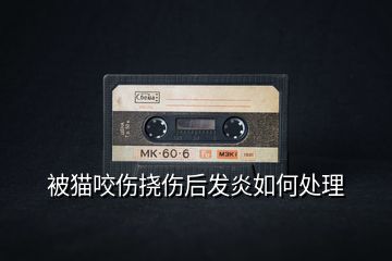 被貓咬傷撓傷后發(fā)炎如何處理