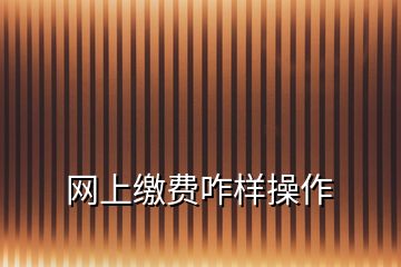 網(wǎng)上繳費(fèi)咋樣操作