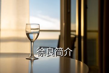徐良簡介