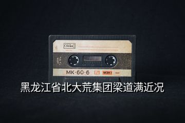 黑龍江省北大荒集團(tuán)梁道滿近況