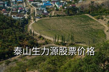 泰山生力源股票價格