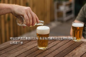 地址拉薩市萬象路十三號 有沒有西藏布達(dá)拉生物科技有限公司這個單