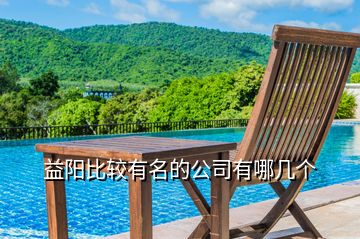 益陽(yáng)比較有名的公司有哪幾個(gè)