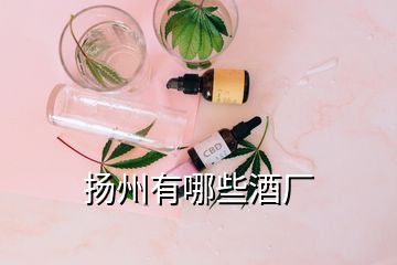 揚州有哪些酒廠