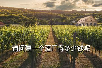 請問建一個(gè)酒廠得多少錢呢