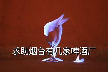 求助煙臺有幾家啤酒廠