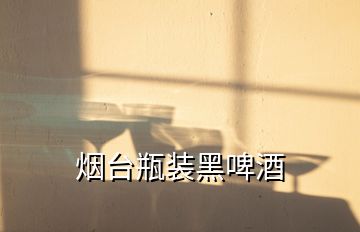 煙臺(tái)瓶裝黑啤酒