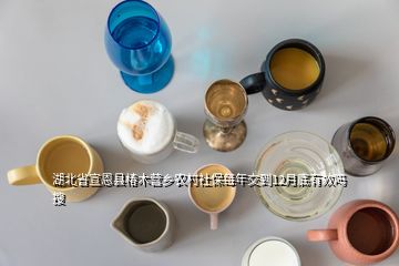 湖北省宣恩縣椿木營鄉(xiāng)農(nóng)村社保每年交到12月底有效嗎  搜