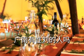 廣南有性劉的人嗎