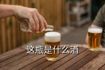 這瓶是什么酒