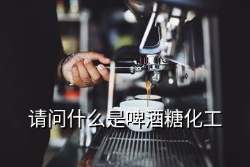 請(qǐng)問(wèn)什么是啤酒糖化工