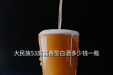 大民族53度醬香型白酒多少錢(qián)一瓶