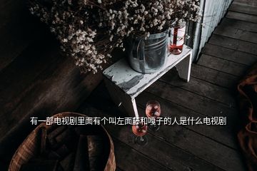 有一部電視劇里面有個(gè)叫左面藤和嘎子的人是什么電視劇