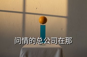 問情的總公司在那