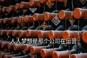 人人夢想是那個(gè)公司在運(yùn)營