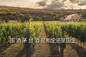 國 酒 茅 臺(tái) 酒 是私企還是國企