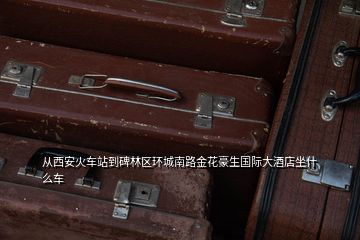從西安火車(chē)站到碑林區(qū)環(huán)城南路金花豪生國(guó)際大酒店坐什么車(chē)