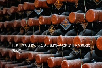 12問(wèn)一下從北京站火車(chē)站去北京社會(huì)管理職業(yè)學(xué)院燕郊區(qū)怎么走