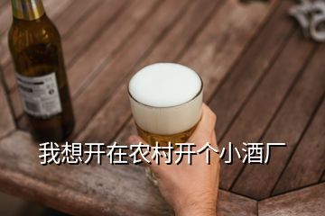 我想開(kāi)在農(nóng)村開(kāi)個(gè)小酒廠