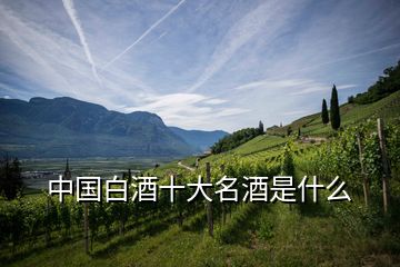 中國白酒十大名酒是什么