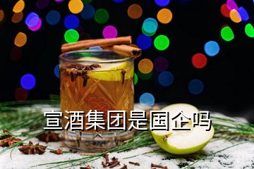 宣酒集團(tuán)是國企嗎