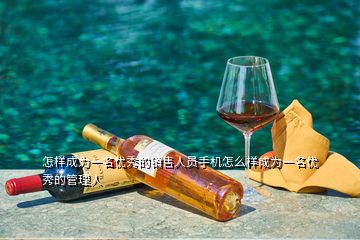 怎樣成為一名優(yōu)秀的銷售人員手機怎么樣成為一名優(yōu)秀的管理人