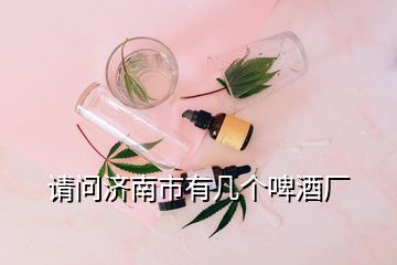 請(qǐng)問濟(jì)南市有幾個(gè)啤酒廠