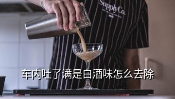 車內吐了滿是白酒味怎么去除