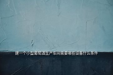 建一個(gè)小型葡萄酒生產(chǎn)車(chē)間需要哪些設(shè)備什么條件