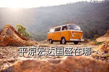 平?jīng)龊赀_國盛在哪