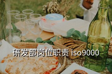 研發(fā)部崗位職責(zé) iso9000
