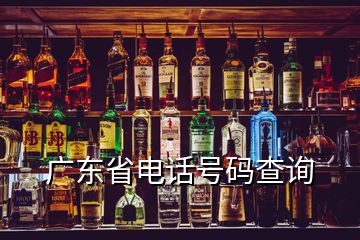 廣東省電話號碼查詢