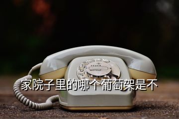 家院子里的哪個(gè)葡萄架是不